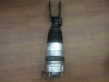 Porsche - Strut - Shock - 7P5616404AE